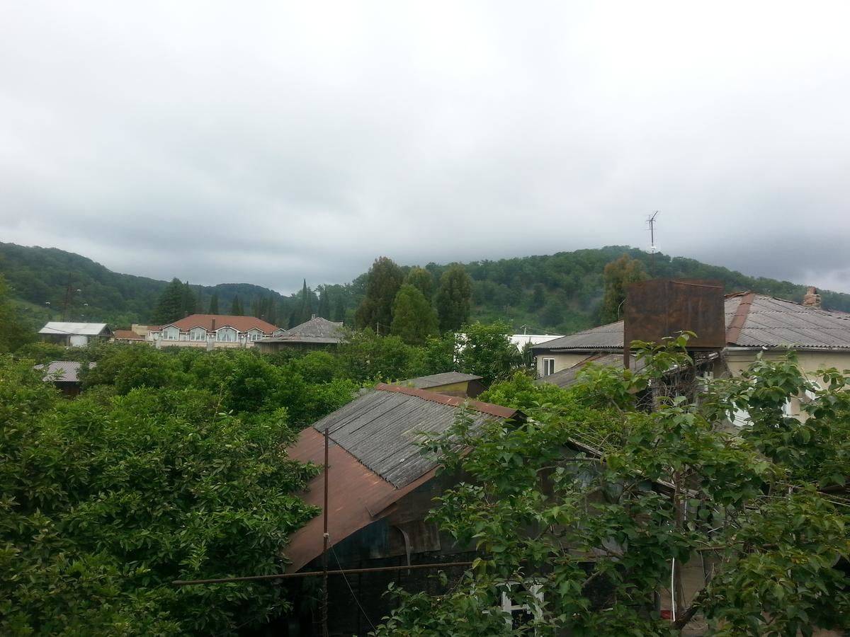 Фотографии номера Трехместный номер с видом на горы в Гостевом доме Гостевой дом Южная Пальмира Пицунда